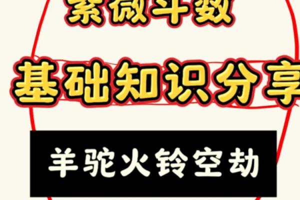 身命空劫：适合你的理想职业选择指南！