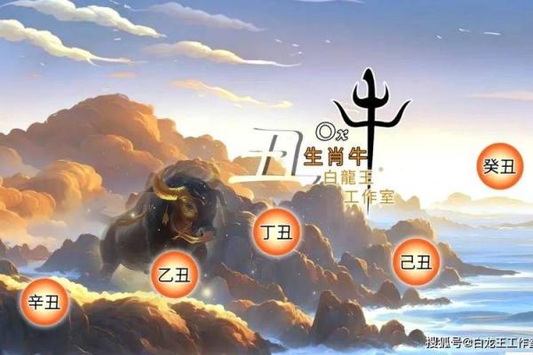 农历2月15出生的人：详解其命理与人生运势