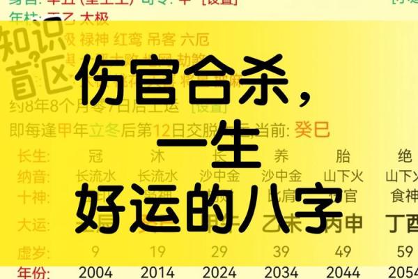 2013蛇女命理解析：揭示八字背后的秘密与未来的好运