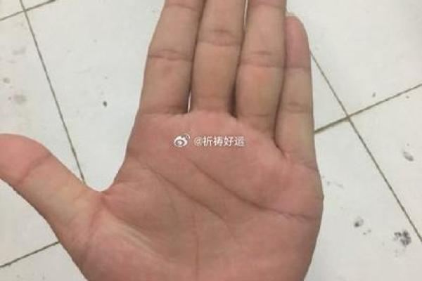 手中指特别长，命运与人生的秘密揭秘