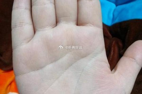 2013蛇女命理解析：揭示八字背后的秘密与未来的好运