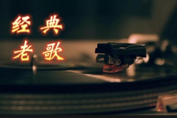 探秘《命硬》歌词的深层含义与情感共鸣