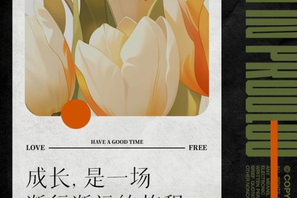 解密1987年出生人的命运：他们的独特特点与人生旅程