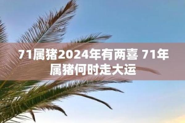 属猪的1958年命理解析：走向幸福人生的秘密