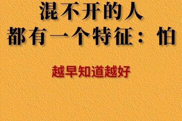命理学的奥秘：解读人生的指引与智慧