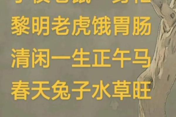 时辰与命运：探秘老鼠命的吉凶所在