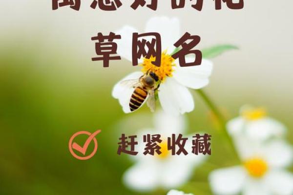 田园土命的人如何取一个寓意深刻的网名