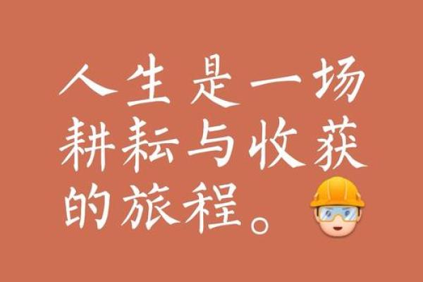 孤女命：一个充满挑战与希望的人生旅程