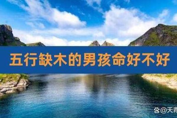 木命女孩名字推荐：灵动自然，展现个性之美！
