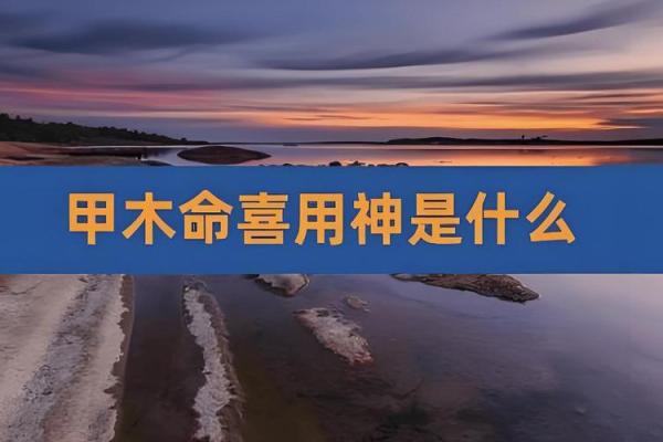 甲木命人的首饰佩戴指南：美丽与风水的完美结合