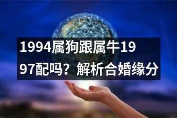 属狗2010年出生的人，命运与性格分析