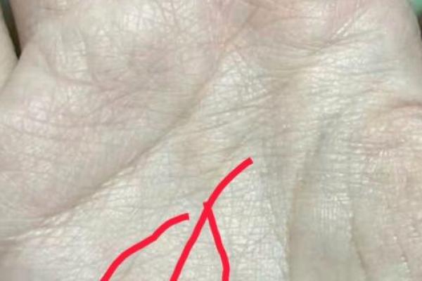 命格中的幕僚：如何运用智慧与策略提升人生运势