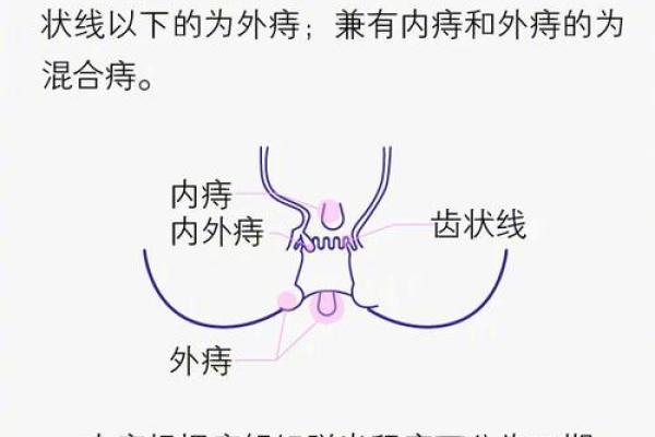 探寻力量者的命运：他们如何掌控人生的方向与轨迹