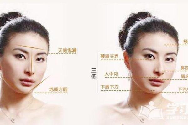 1983年出生的女性，命运与性格的深刻解析