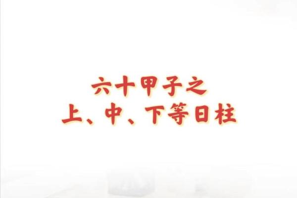 乙丑壬午己亥丙寅命运解析：探索八字背后的生命密码