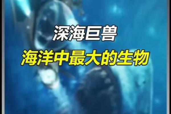 熊的命理属性探秘：揭秘这位自然界的巨兽背后的神秘象征