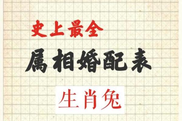 1999年的属相与命理解析：探索属兔人的性格与运势之道