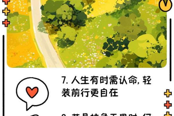 手中几种斗代表的命运走向与人生解析