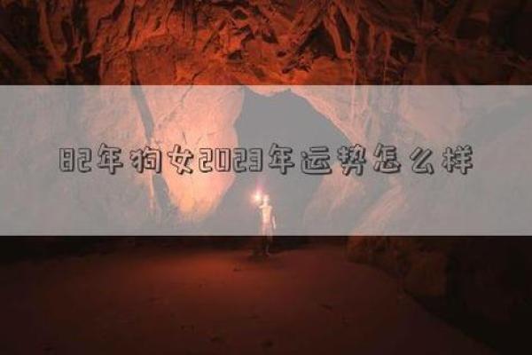 1970年属狗命运解析：2023年的机遇与挑战