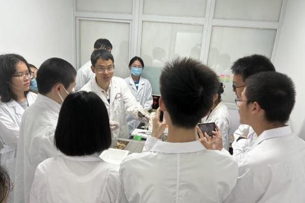 井泉水命与五行相生的神秘关联探究