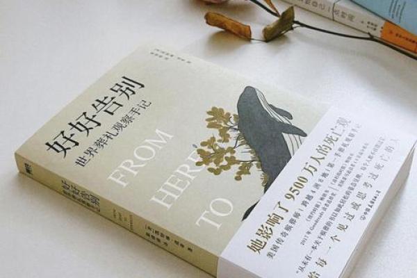 从诺亚的变身看生命的意义与选择