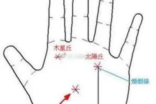 91年12月出生的人命运揭秘：从星座与命理看人生轨迹与性格特征