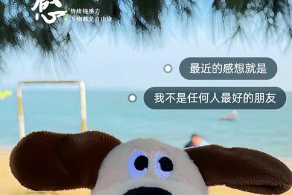 从诺亚的变身看生命的意义与选择