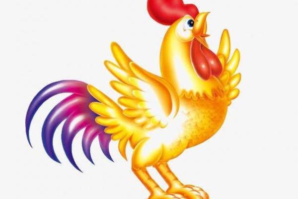 属鸡人的命运与性格：探寻鸡年出生者的命理之旅