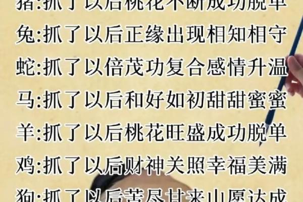 1994年兔年出生的人命理解析：命中注定的温柔与智慧