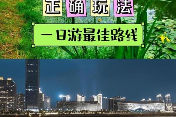 探索命运的奥秘：人生的选择与机遇相伴而行