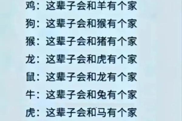 1994年兔年出生的人命理解析：命中注定的温柔与智慧