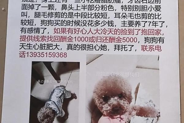 绝子绝孙命格的深层解析与生活启示