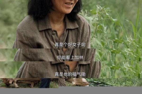 探寻1965年正月出生者的命运与人生之路