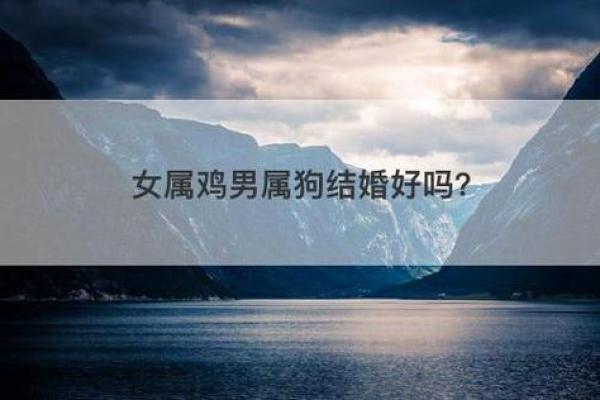 属鸡金命与适配生肖的完美缘分解析