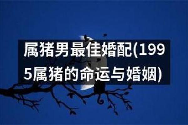 1995年出生的男性属猪，命运与生活的精彩篇章