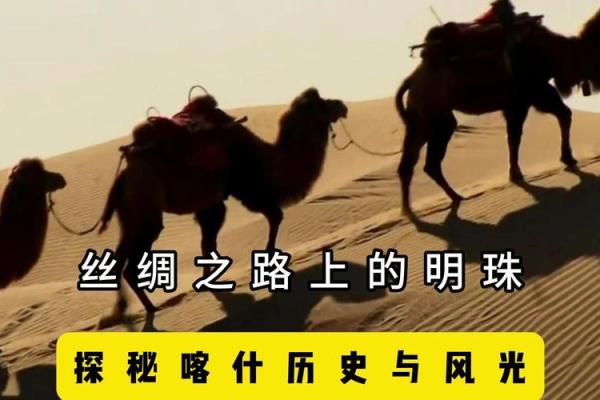男女命理合婚探秘：找到你的理想伴侣之路