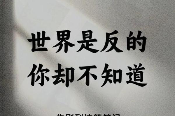 阴历91年腊月出生的命运与性格解析，揭示人生之路的奥秘