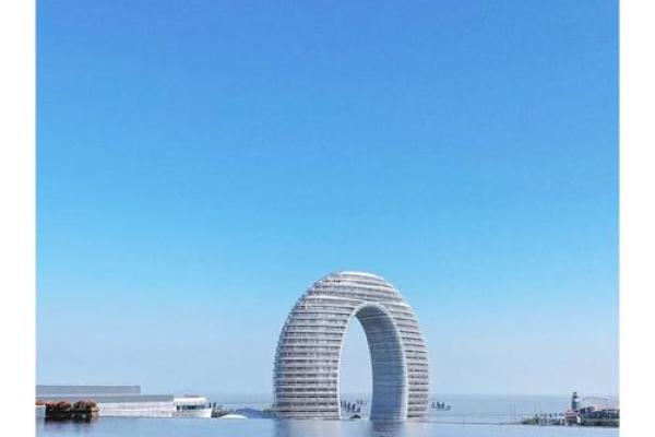 解码手纹：没有箩筐的人生命运与梦想之路
