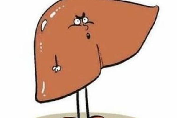 探索木命人的饮食偏好：吃出健康与幸福的秘密