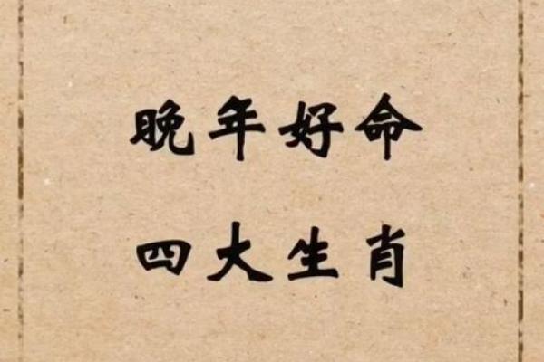 揭开命长动物的神秘面纱：生肖与长寿的奇妙关联