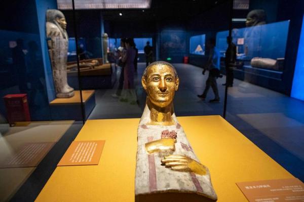 揭开1960年代女性命运的面纱：时代变迁与自我拯救旅程
