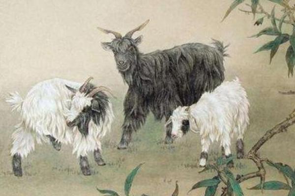 探秘1925年属羊人的命运：财富与人际关系的新启示
