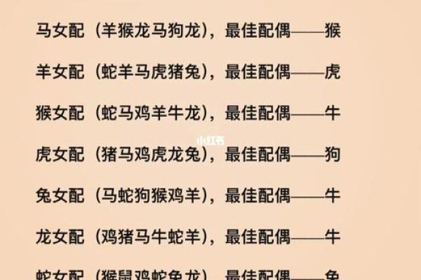 男性属相在命理学中的优劣分析与解读