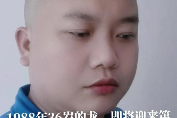 76年龙命解析：2019年运势与人生智慧的深度揭示
