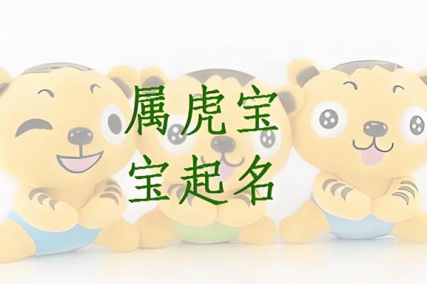 子时属虎的命理解析：探秘生肖虎的命格与运势