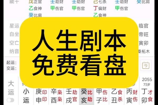 2013年命卦解析：从八字看你的人生运势与发展
