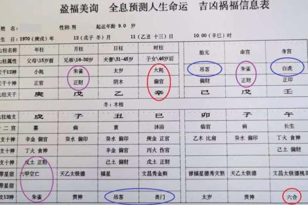 乙丑命宫解析：探索命格的奥秘与人生轨迹