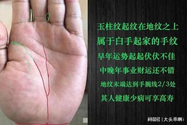 探秘断掌纹：命运之路的独特符号与女性的命运联系