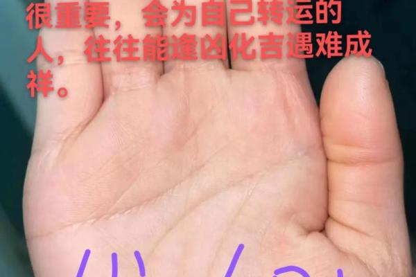 背上有掌纹之命运：解读肢体语言中的秘密