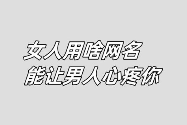 金命属猪的网友，来看看这些适合你的网名！